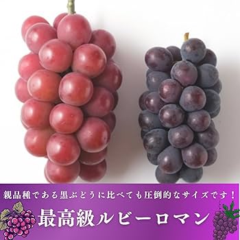 Amazon.co.jp: 【MSKSHOP】ルビーロマン 最高級 ぶどう 糖度18度